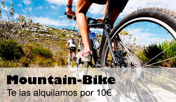 Mountain Bike Mountain Bike